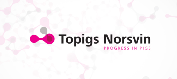 Topigs Norsvin obtiene un resultado de 9,4 millones de euros